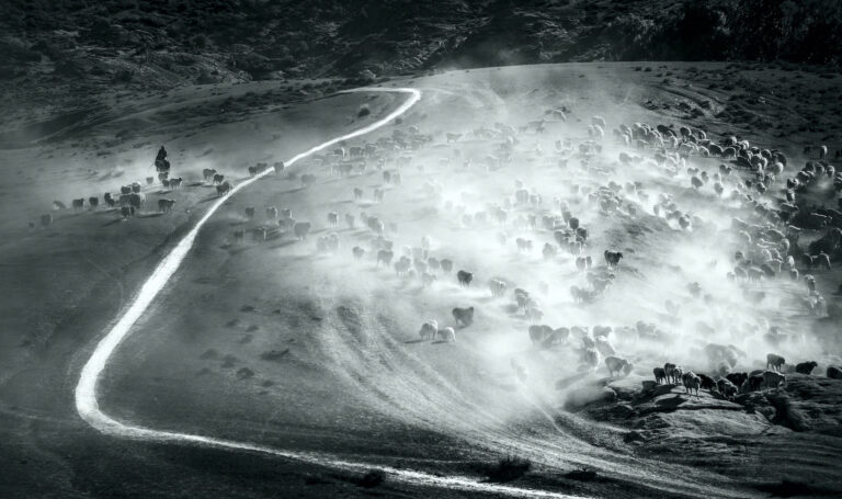 Beautiful Motherland - 8.Long Road ahead